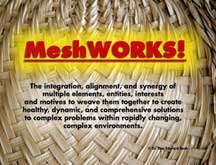 Read more about the article Meshworking™
